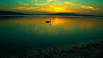Calm Afternoon : High Definition : Fullscreen 1680Ã1050 Calm ( HD wallpaper
